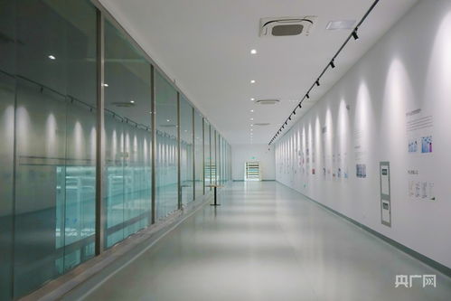 青聽經(jīng)濟之聲丨動能集聚添活力 西引力澎湃升級 技術(shù)服務(wù)